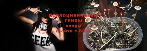 спайс Алексин