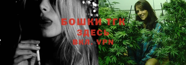спайс Алексин