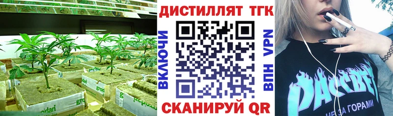МЕГА рабочий сайт  Владивосток  ТГК THC oil 