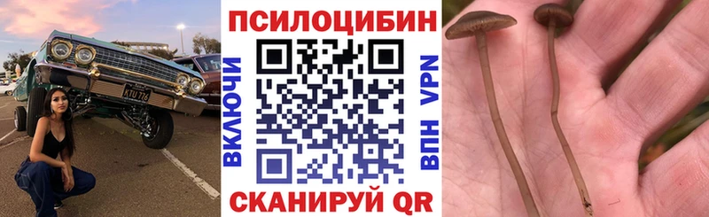 купить наркотик  Владивосток  omg сайт  Псилоцибиновые грибы Cubensis 